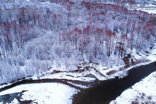 雪后河流紅柳 航拍