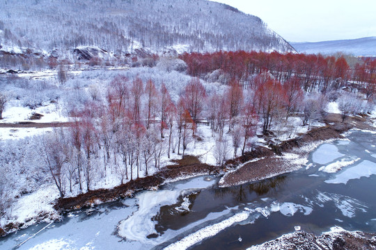 雪后河流紅柳 航拍