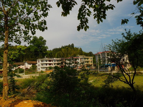 鄉(xiāng)村美景
