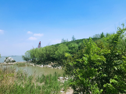 吳淞炮臺灣濕地公園 炮臺灣濕地