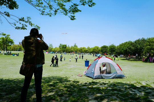 吳淞炮臺灣濕地公園 炮臺灣濕地