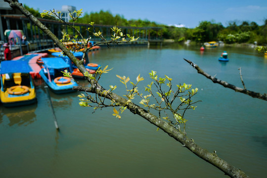 吳淞炮臺(tái)灣濕地公園 炮臺(tái)灣濕地