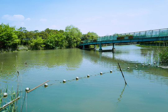 吳淞炮臺灣濕地公園 炮臺灣濕地