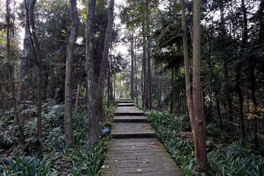 池九鳳瑤