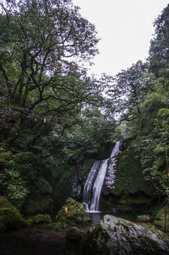 瓦屋山森林公園