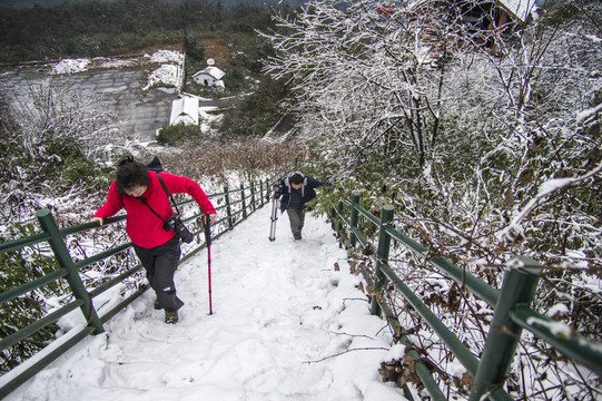 洪雅瓦屋山森林公園