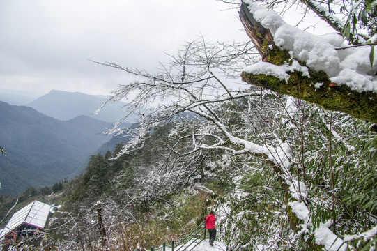 瓦屋山國家森林公園