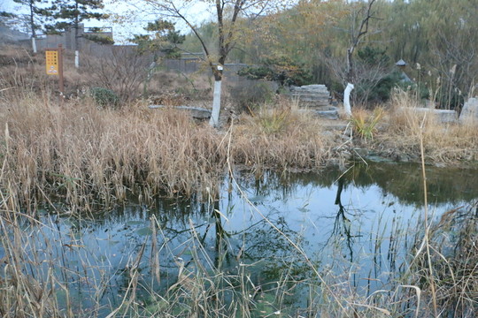 北宮國家森林公園