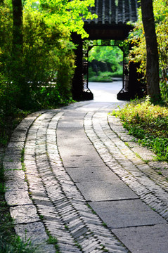 林間小路