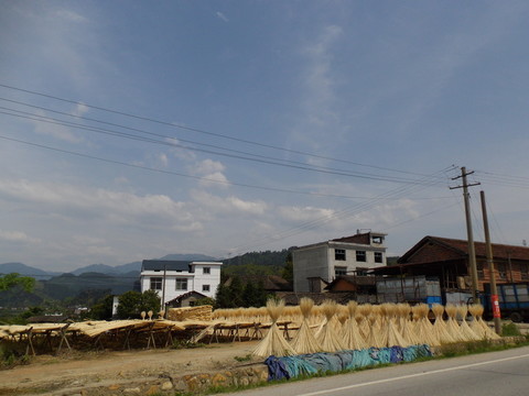 鄉(xiāng)村竹木加工