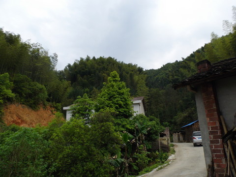 鄉(xiāng)村小景