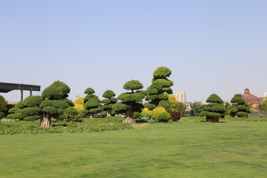城市綠化