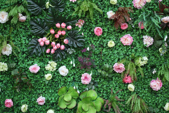 綠色植物墻 綠植 花墻 植物墻