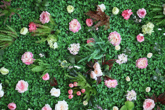 綠色植物墻 綠植 花墻 植物墻