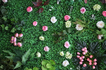 綠色植物墻 綠植 花墻