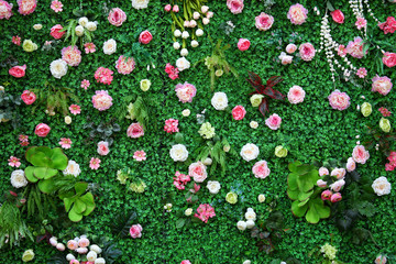 綠色植物墻 綠植