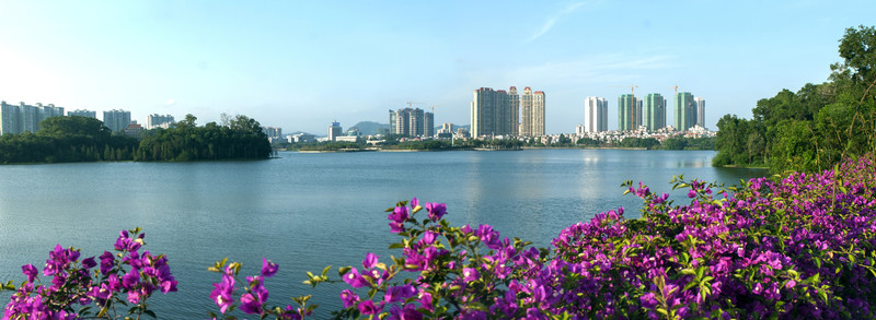 夕陽西下 城市公園 民居 民生