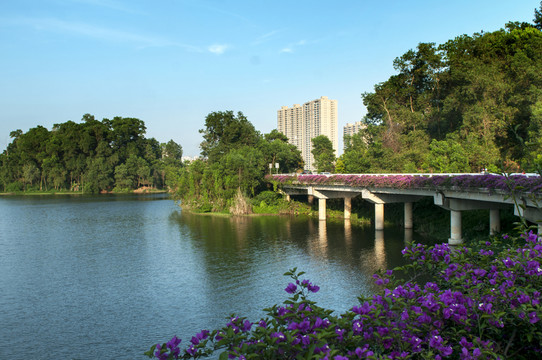 夕陽西下 城市公園 民居 民生
