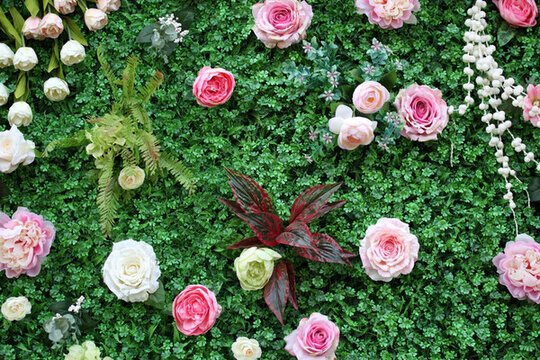 綠色植物墻 綠植 花墻