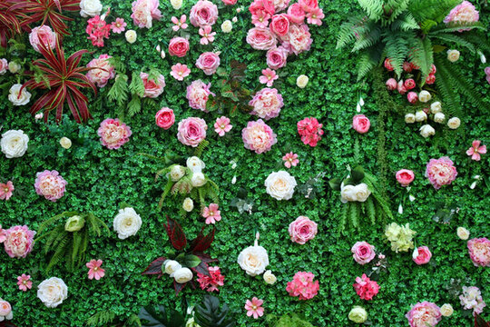 綠色植物墻 綠植 花墻