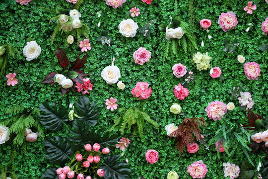 綠色植物墻 綠植