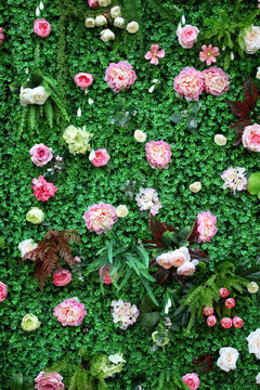 綠色植物墻 綠植 花墻