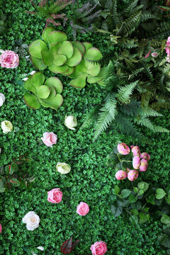 綠色植物墻 綠植 花墻 植物墻