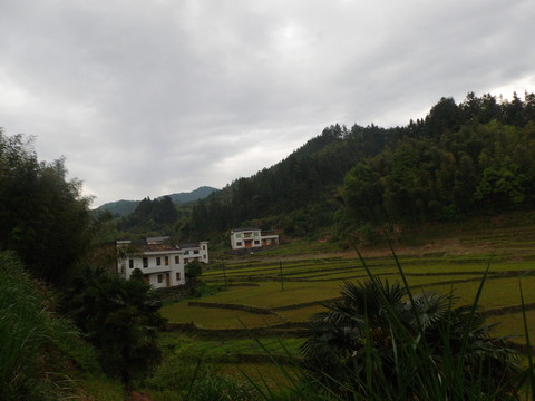 山鄉(xiāng)風(fēng)景