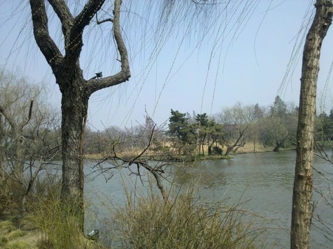 冬天公園景觀 湖水 枯枝 枯樹(shù)