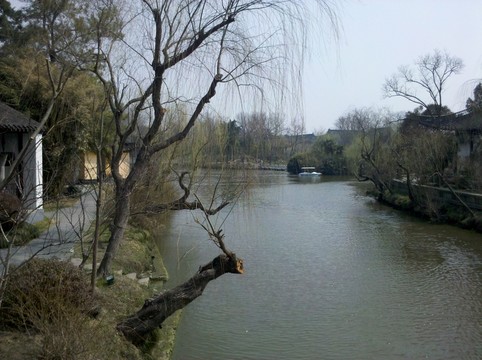冬天公園景觀 湖水 枯枝 枯樹