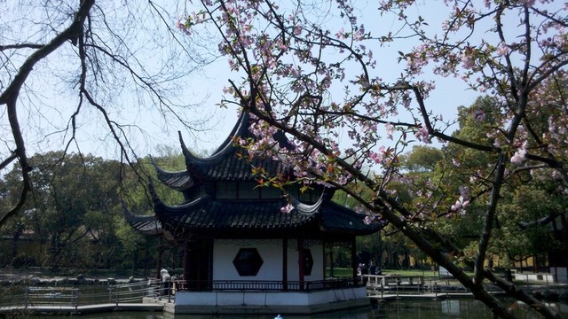 江南園林景觀 古建筑 園林景觀