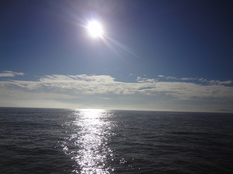 烈日大海