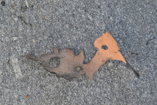 樹皮