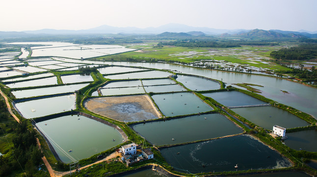 大地 海水養(yǎng)殖場(chǎng)