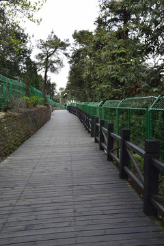 木棧道