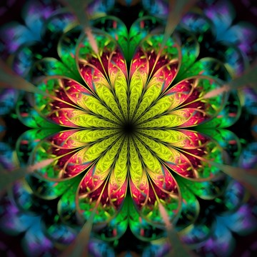 花紋圖案