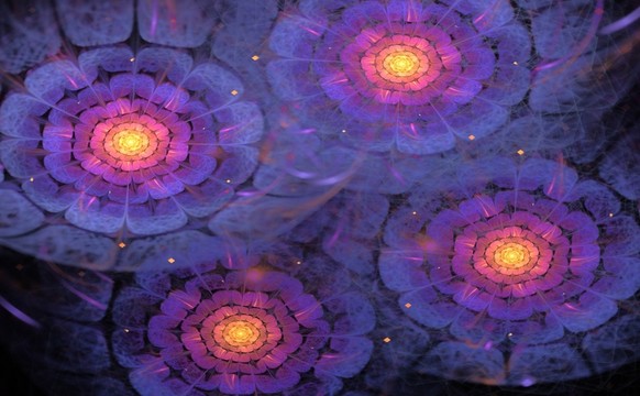 花紋圖案