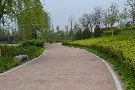 公園風(fēng)景