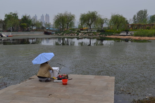 垂釣 公園一角