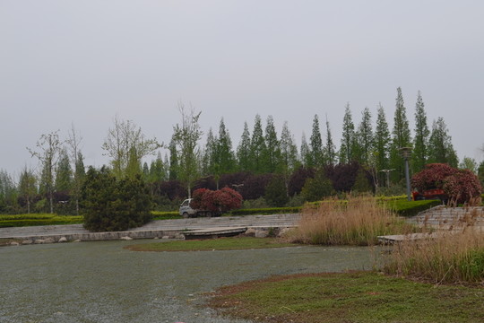 河邊風(fēng)景 水草