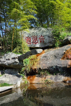 廬山風(fēng)景