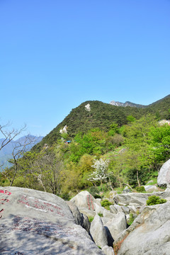 廬山旅游攝影