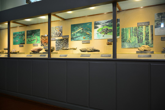 廬山博物館展廳