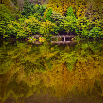 廬山花徑
