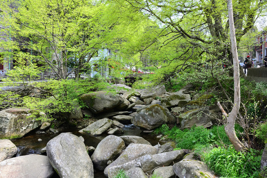 廬山風(fēng)景