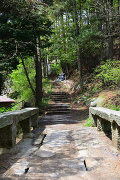 廬山旅游攝影