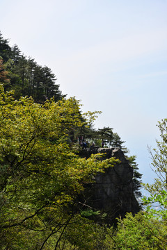 廬山自然環(huán)境