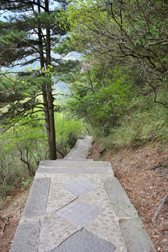 小路 石階路