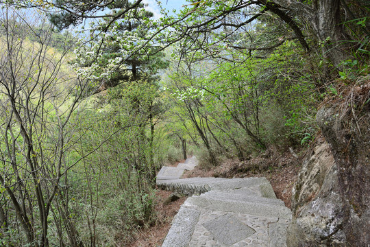 小路 石階路