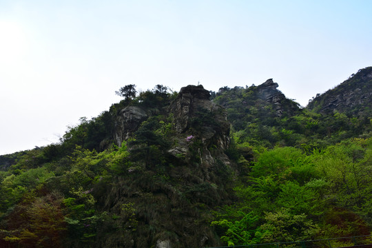 廬山實(shí)拍